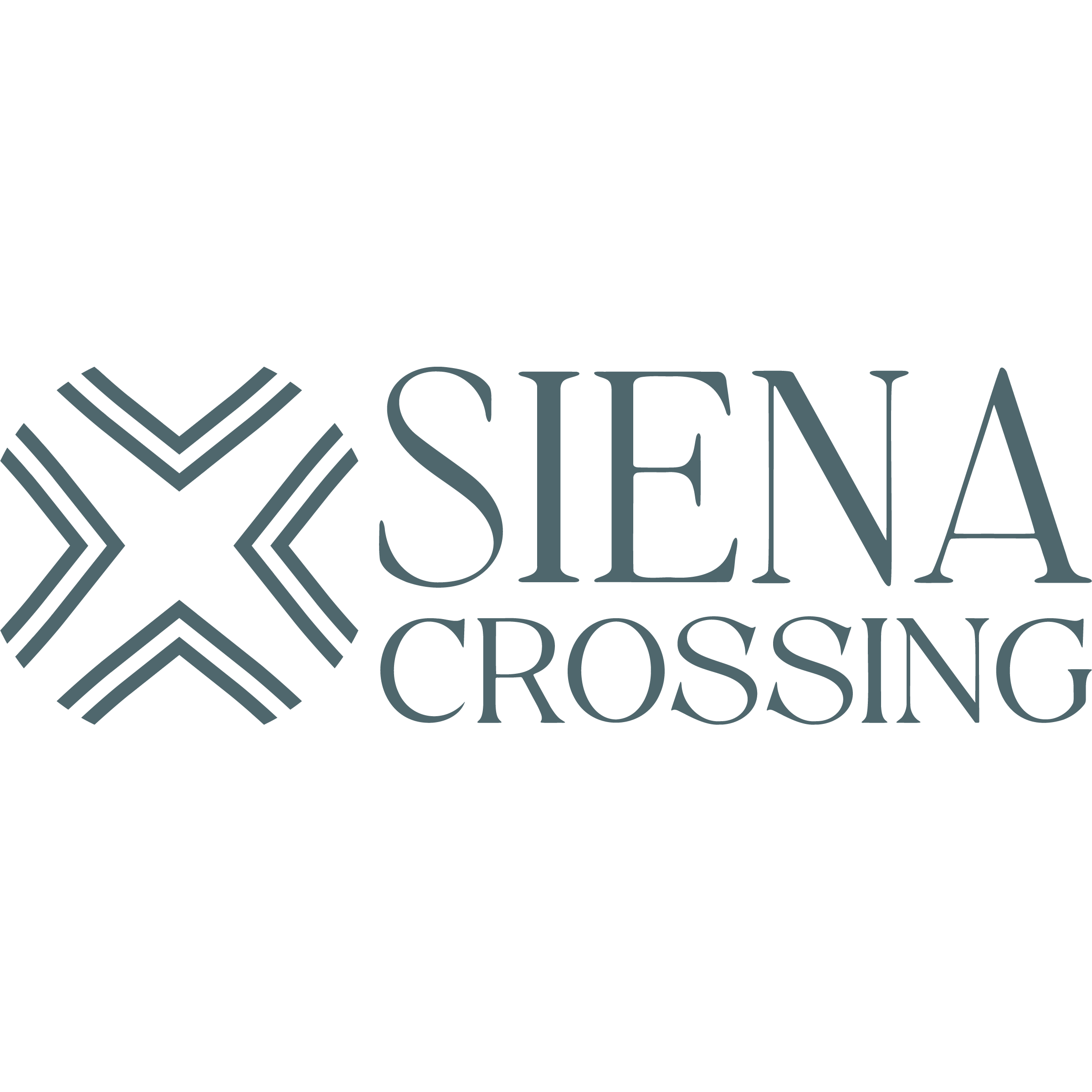 company logo
