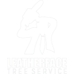Leatherface Tree Service, led by an ISA Certified Arborist, has been serving the Dallas area with ex Leatherface Tree Service Dallas (214)304-8084