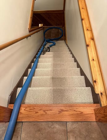 Images Apex Professional Cleaning Systems