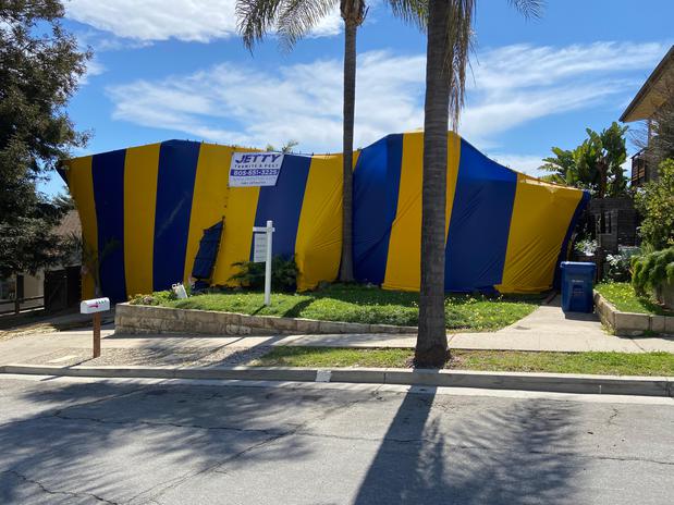 Images Jetty Termite & Pest Control