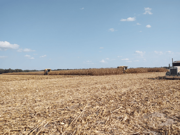 Images Southwest Seed Research LLC