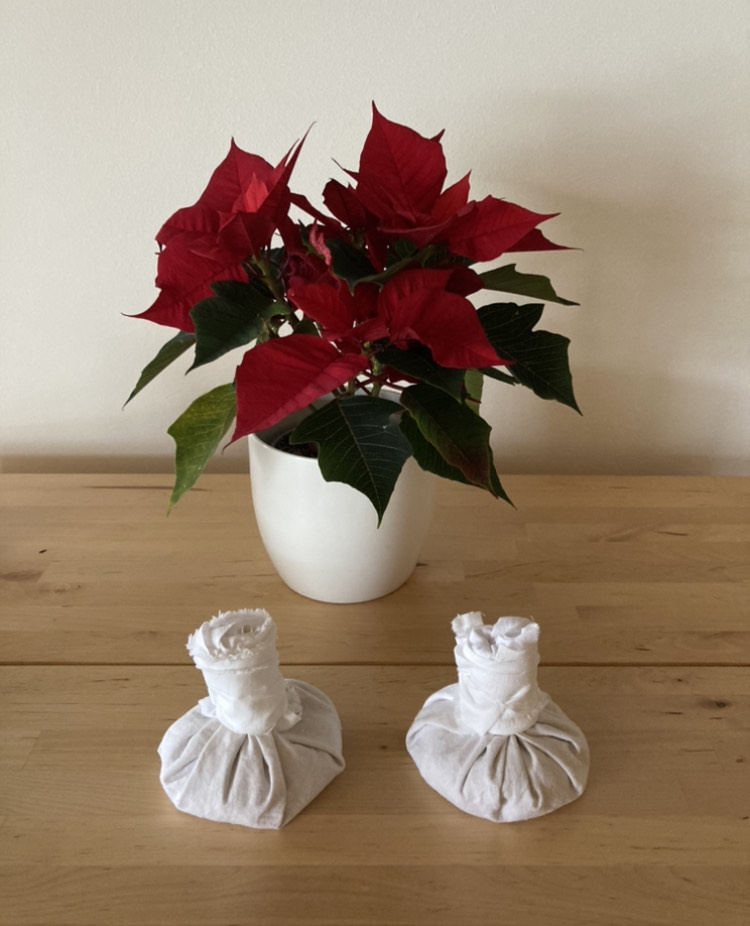 Bilder Ayurveda Praktikerin Michaela Winter