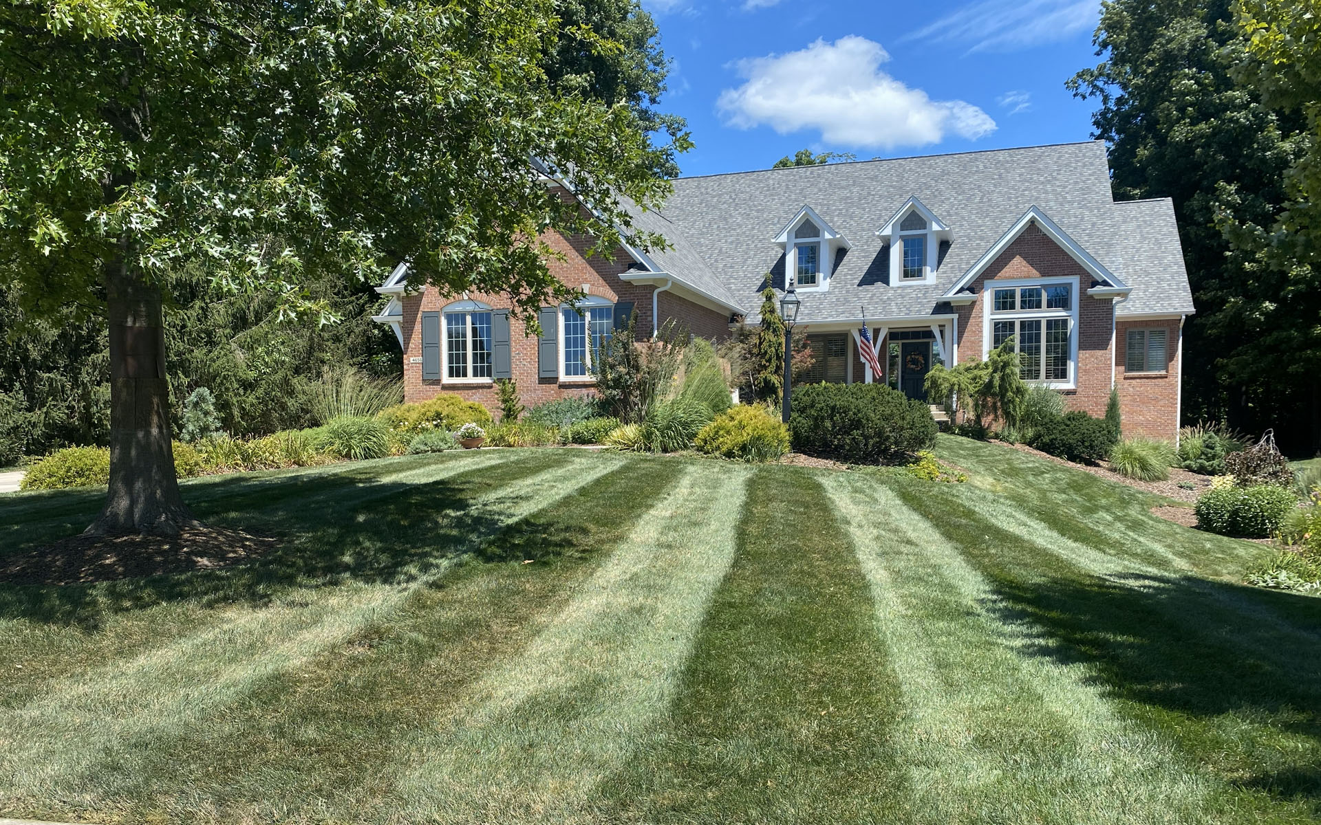 Rooted Lawn & Landscape Image