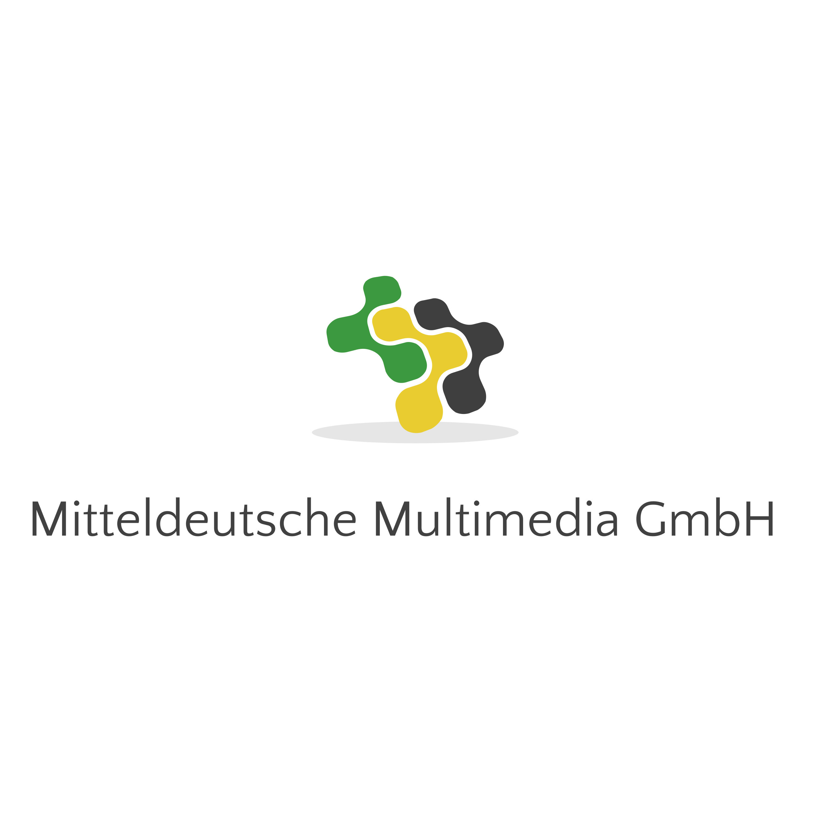 Logo Mitteldeutsche Multimedia GmbH