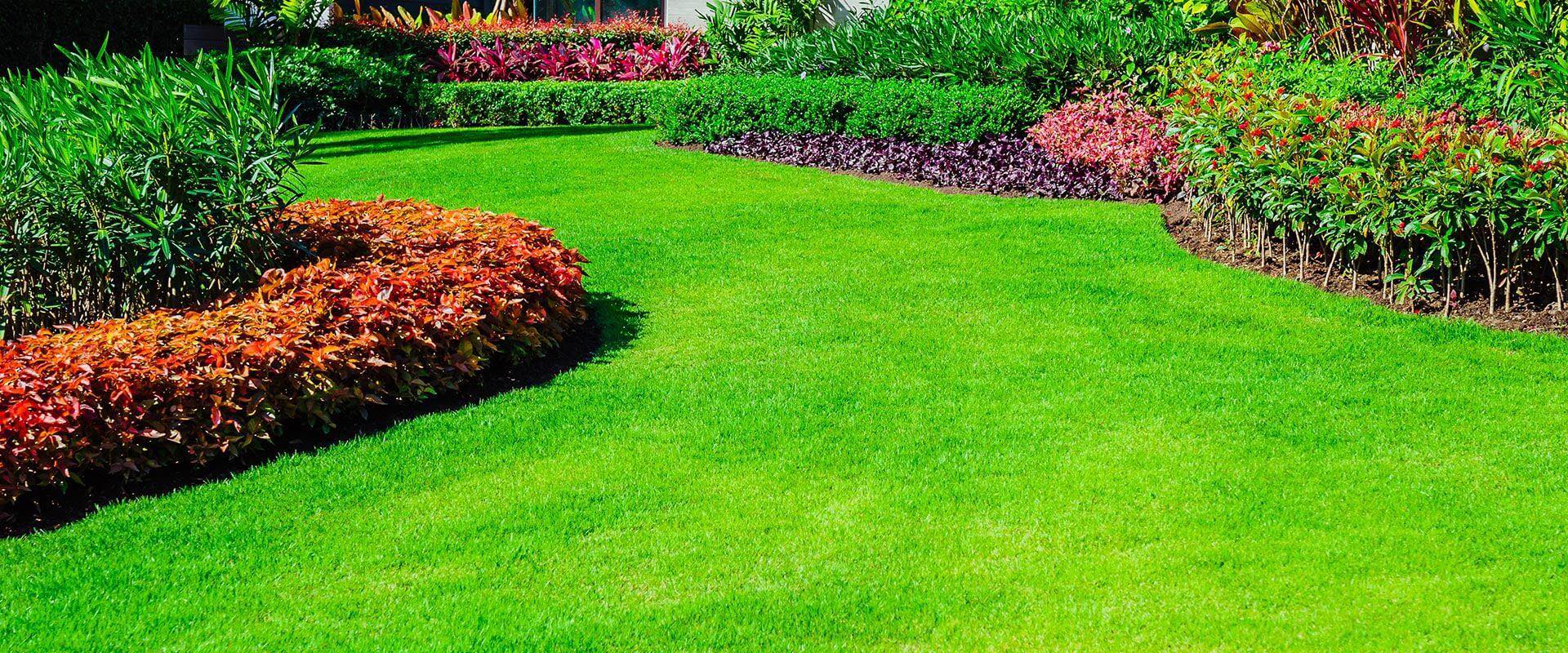 Nitro Green Lawn offers specialized pest control spraying to protect your lawn from harmful insects and pests. My treatments are designed to create a safe, pest-free environment, allowing your lawn to thrive without interference. Trust Nitro Green Lawn to keep your outdoor space healthy and enjoyable, free from unwelcome pests.