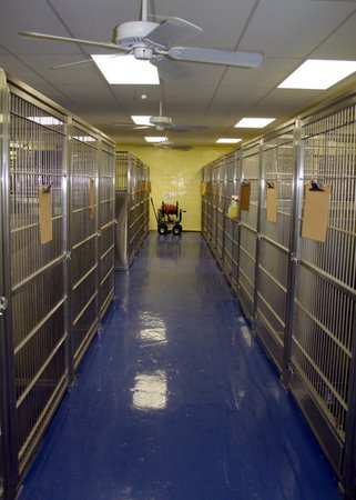 Images VCA Animal Care Hospital