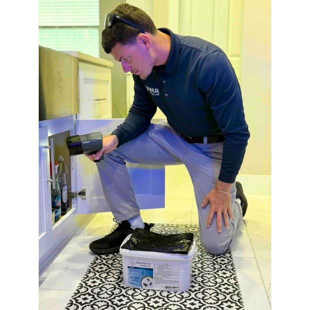 Images Maximum Pest Control