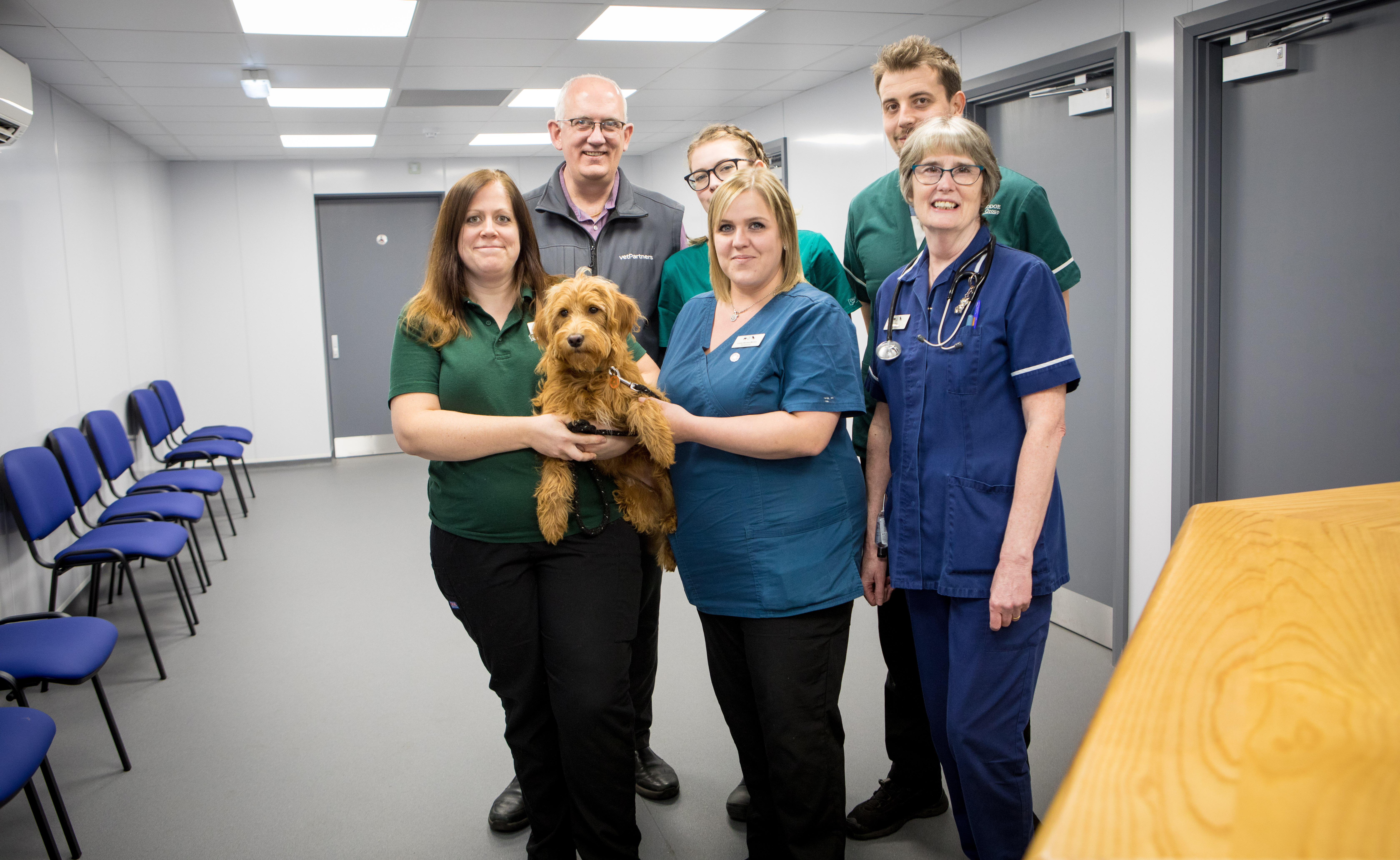 Images Clifton Lodge Veterinary Group, Horden
