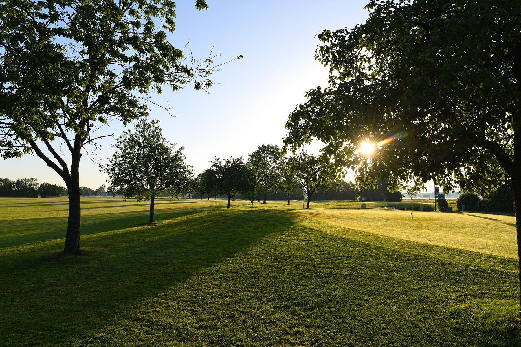 Bild 3 Golfanlage Harthausen in Grasbrunn