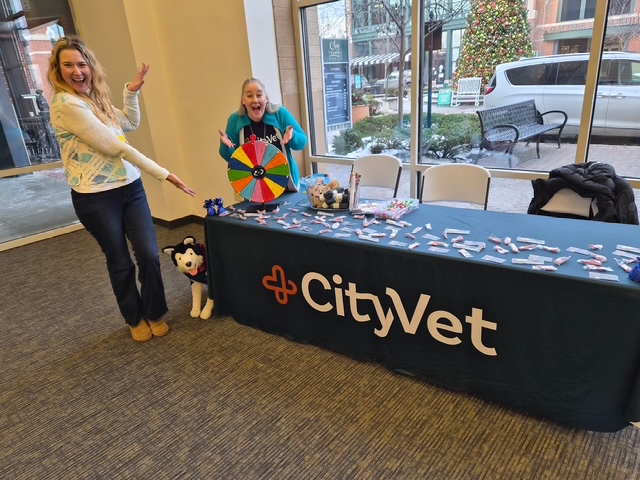 Dr. Stephanie Beeson, Owner of CityVet | Carmel at a community Christmas event!