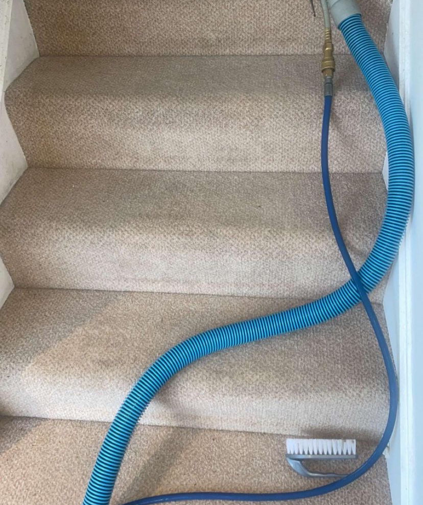 Nottingham carpet & upholstery cleaners, Nottingham Leather Repairs