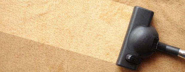 Images Temple Clean Touch Carpet Cleaning