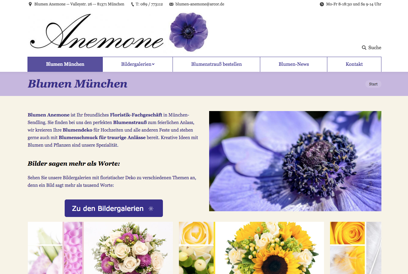 Bild 5 Floristweb in Kitzingen