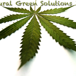 Natural Green Solutions Inc