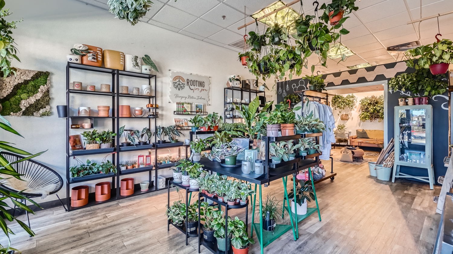 Explore our curated offerings and "planty" treasures, from pots to care essentials. Perfect for plant lovers of all levels!