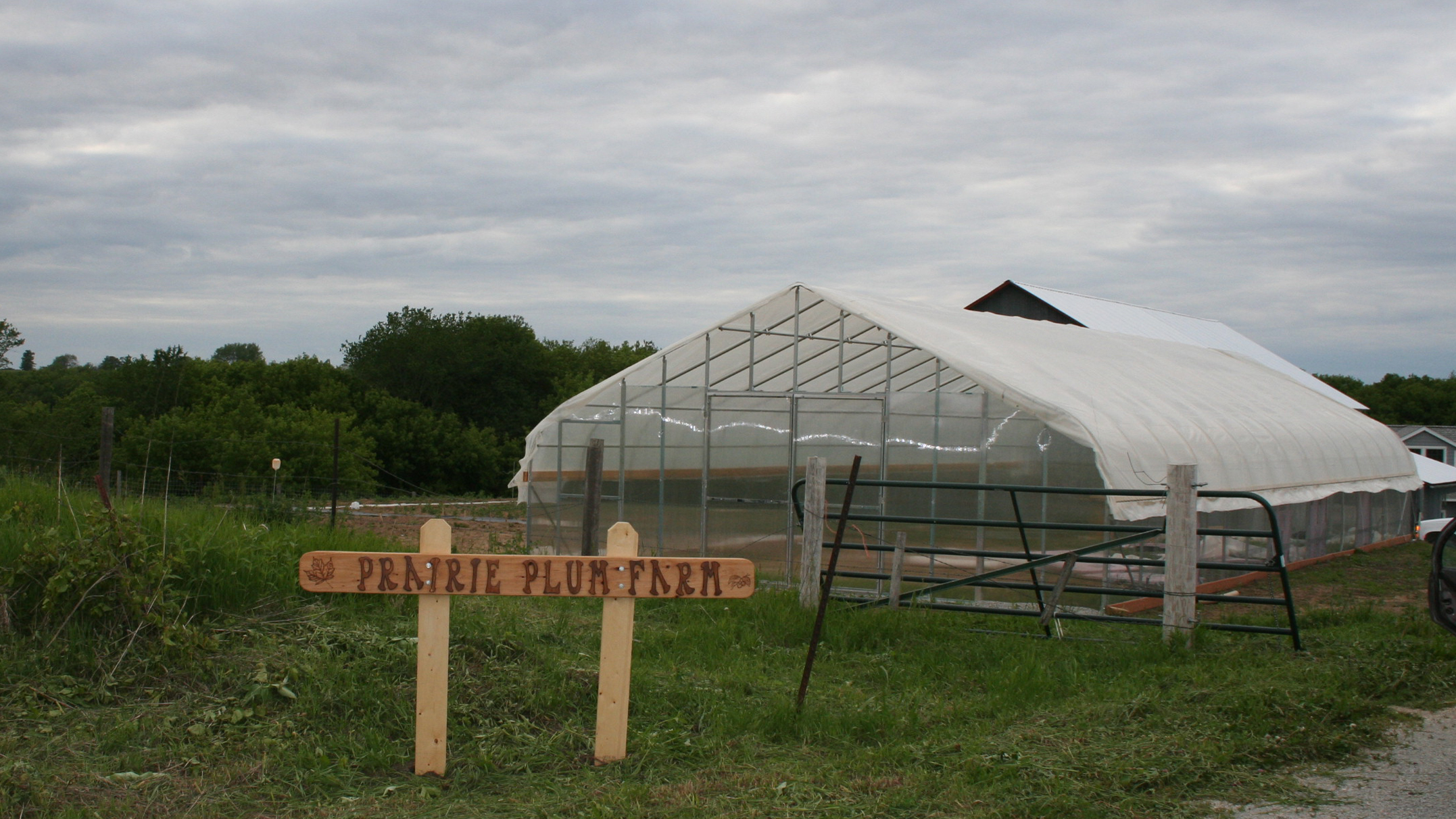 Prairie Plum Farm Logo