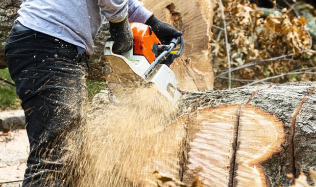 Images 5 Star Tree Service Inc.