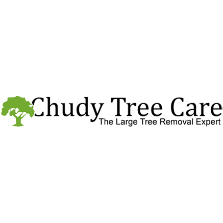 Chudy Tree Care Logo