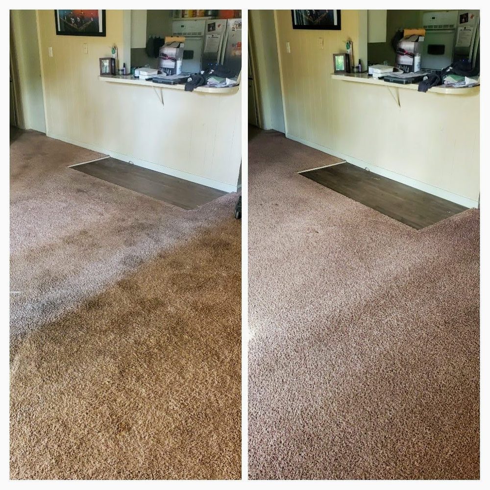Before and after carpet cleaning in Lake Forest