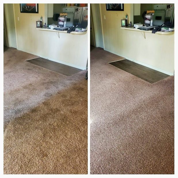 Images Immaculate Home Chem-Dry