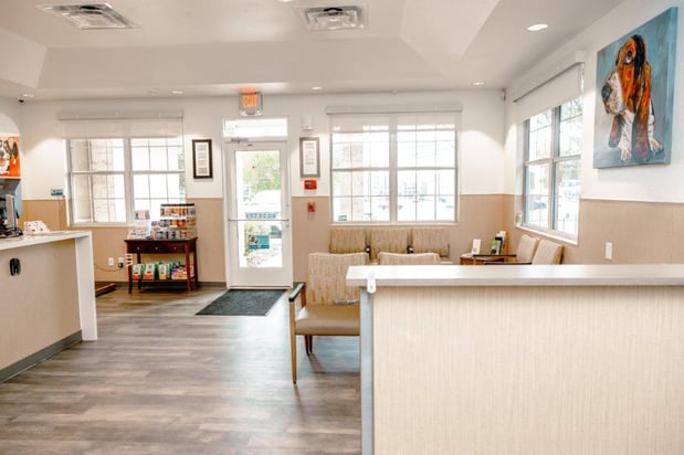 Images VCA Veterinary Hospital of Leon Springs