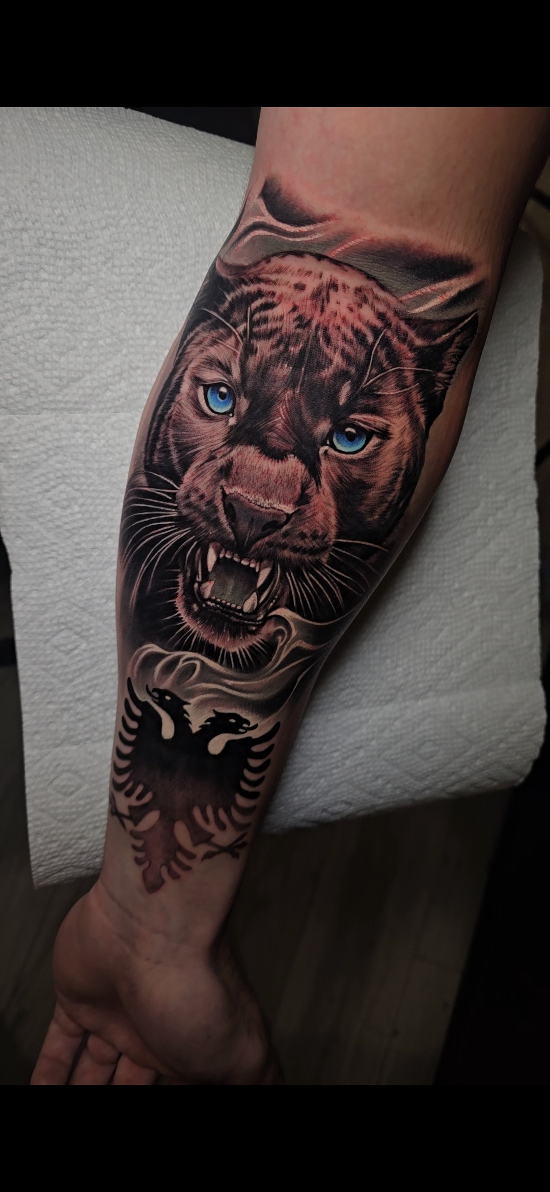 Eternal Davinci Gallery Logo