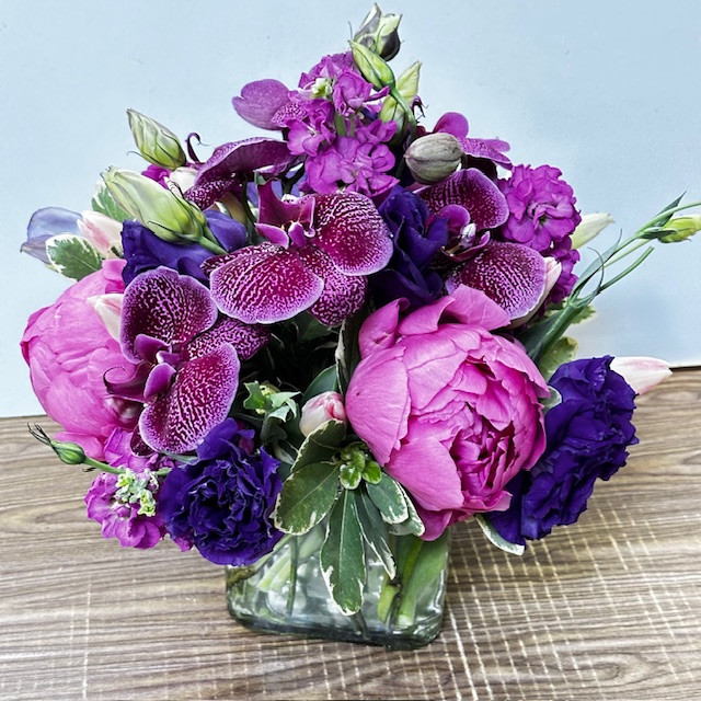 Images Jane's Roses & Flowers
