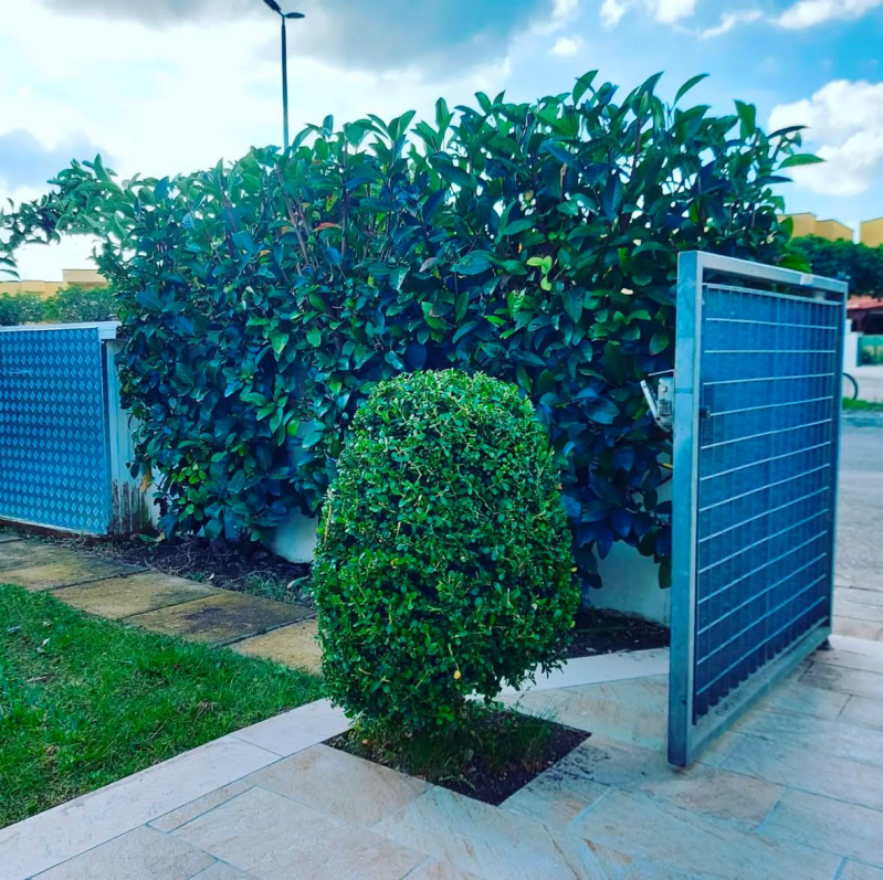 Images Linea Verde di Marrocco Pantaleo