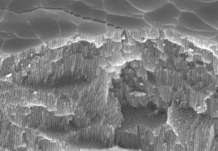 P&H Oberflächentechnik GmbH, Kirchenlamitzer Str. 20 in Schwarzenbach / Saale