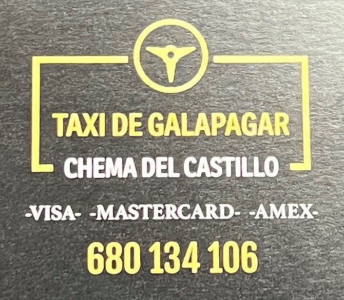 Images Taxi Galapagar Licencia 1