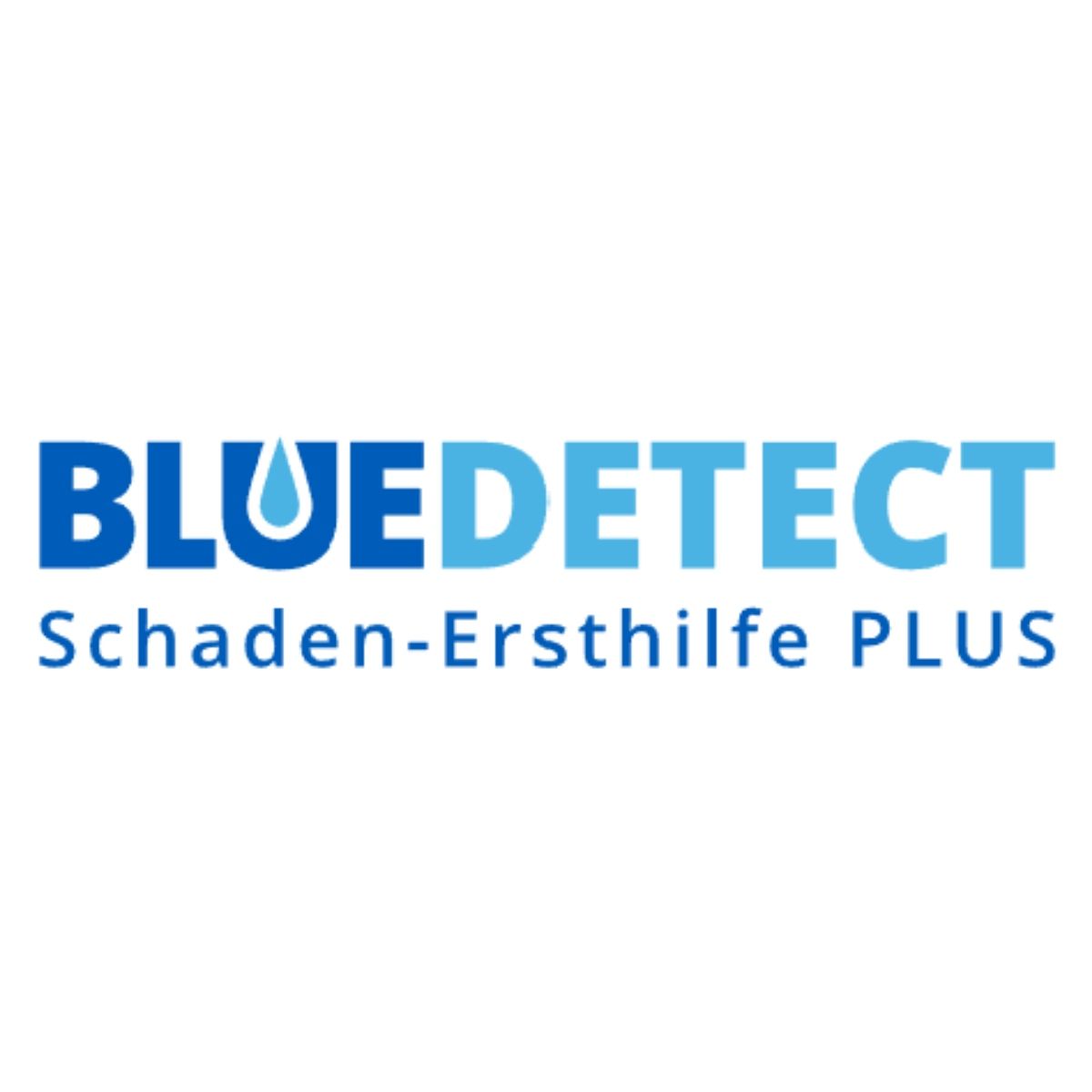 Bluedetect Frankfurt Cayir Leckortungstechnik - Patryk Nowotnik  