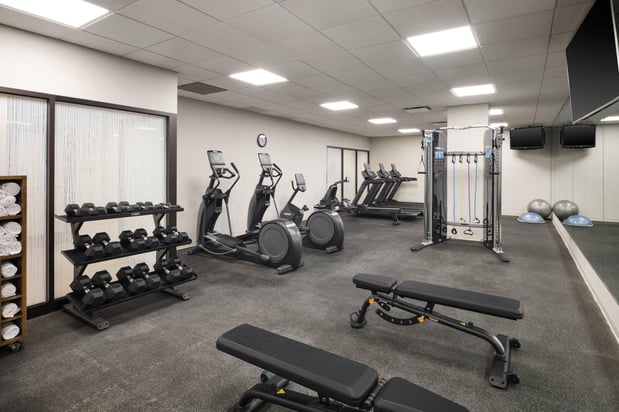 Images Holiday Inn Chicago O'Hare - Rosemont by IHG