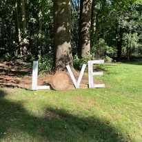 Images AR Event Rentals