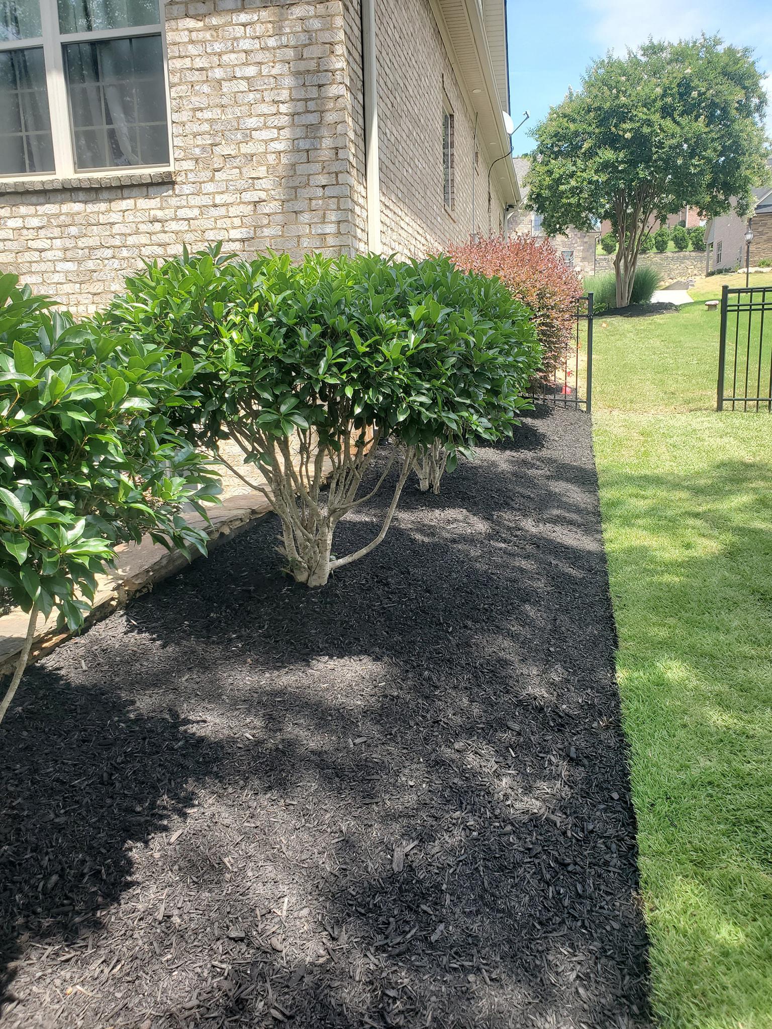 Bed with dark mulch