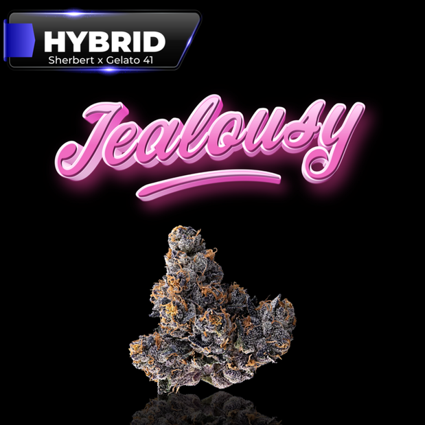 Images The Hempire Collective Weed Dispensary Scottville