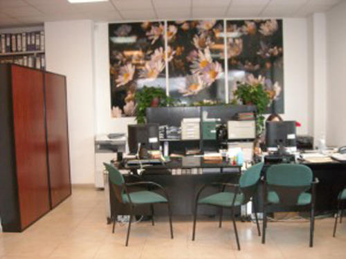 Images Sercogest Seguros