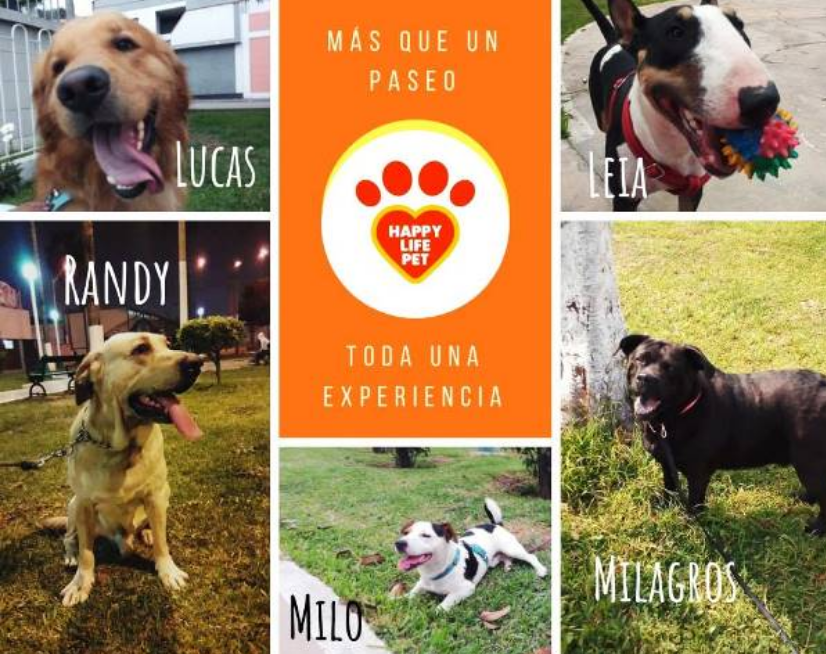 Happy Life Pet Dog Walking Lima