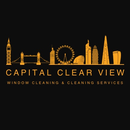 Capital Clear View Logo