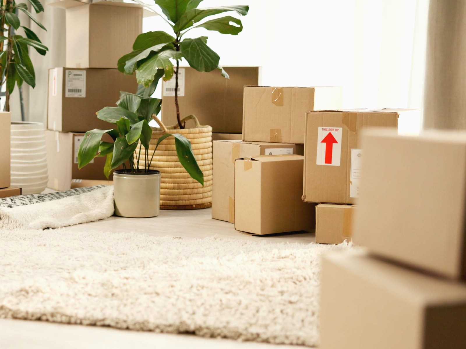 Jacksonville Expedited Long-Distance Movers
