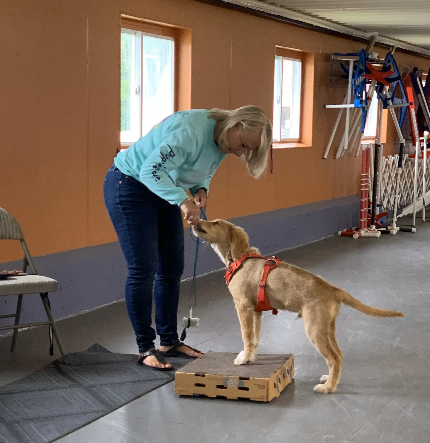 Image of Local Pet Event Puppy Life Skills Class (8 mth& Under) Full Nearby