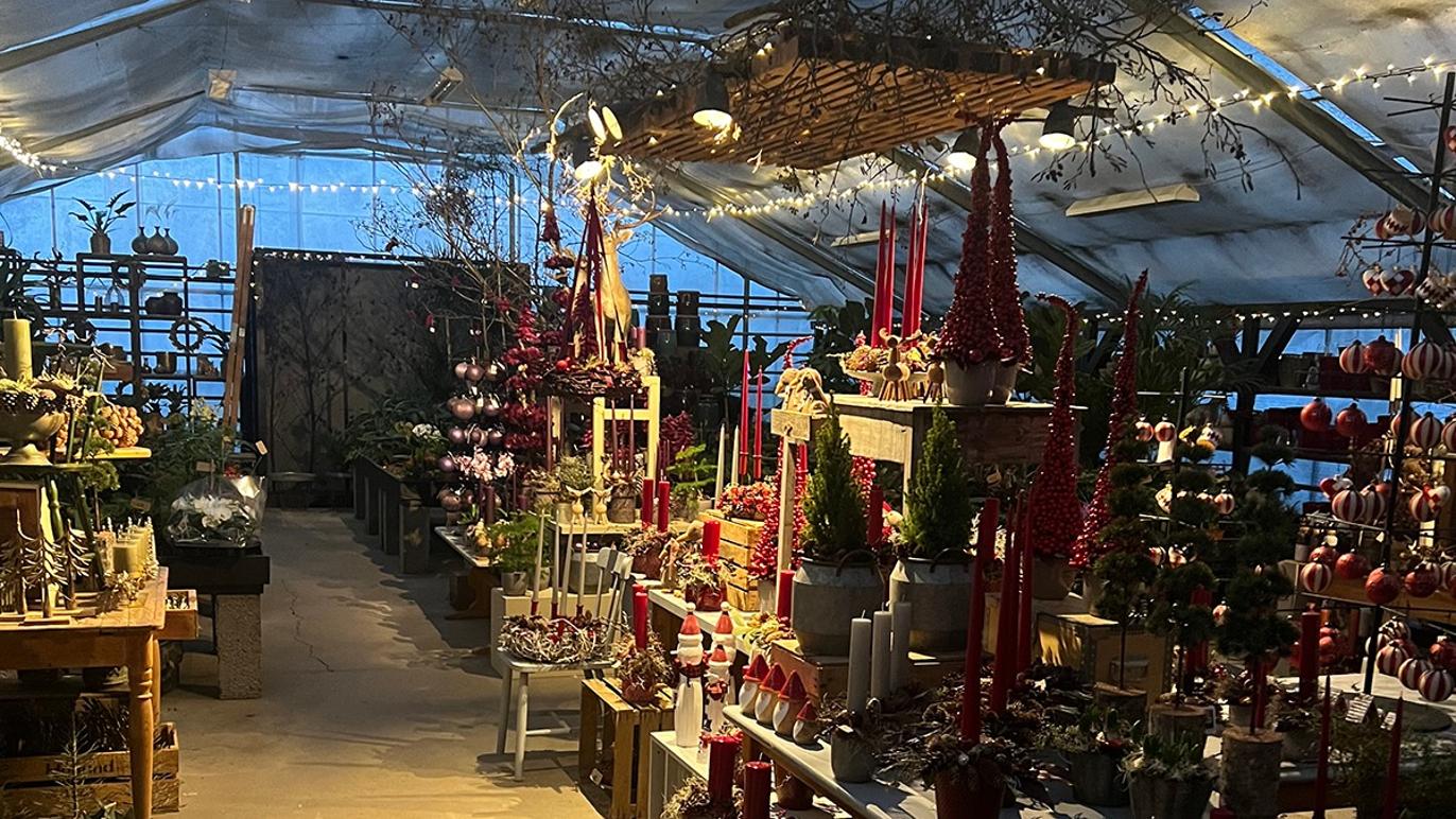 Images Fyrkat Blomster