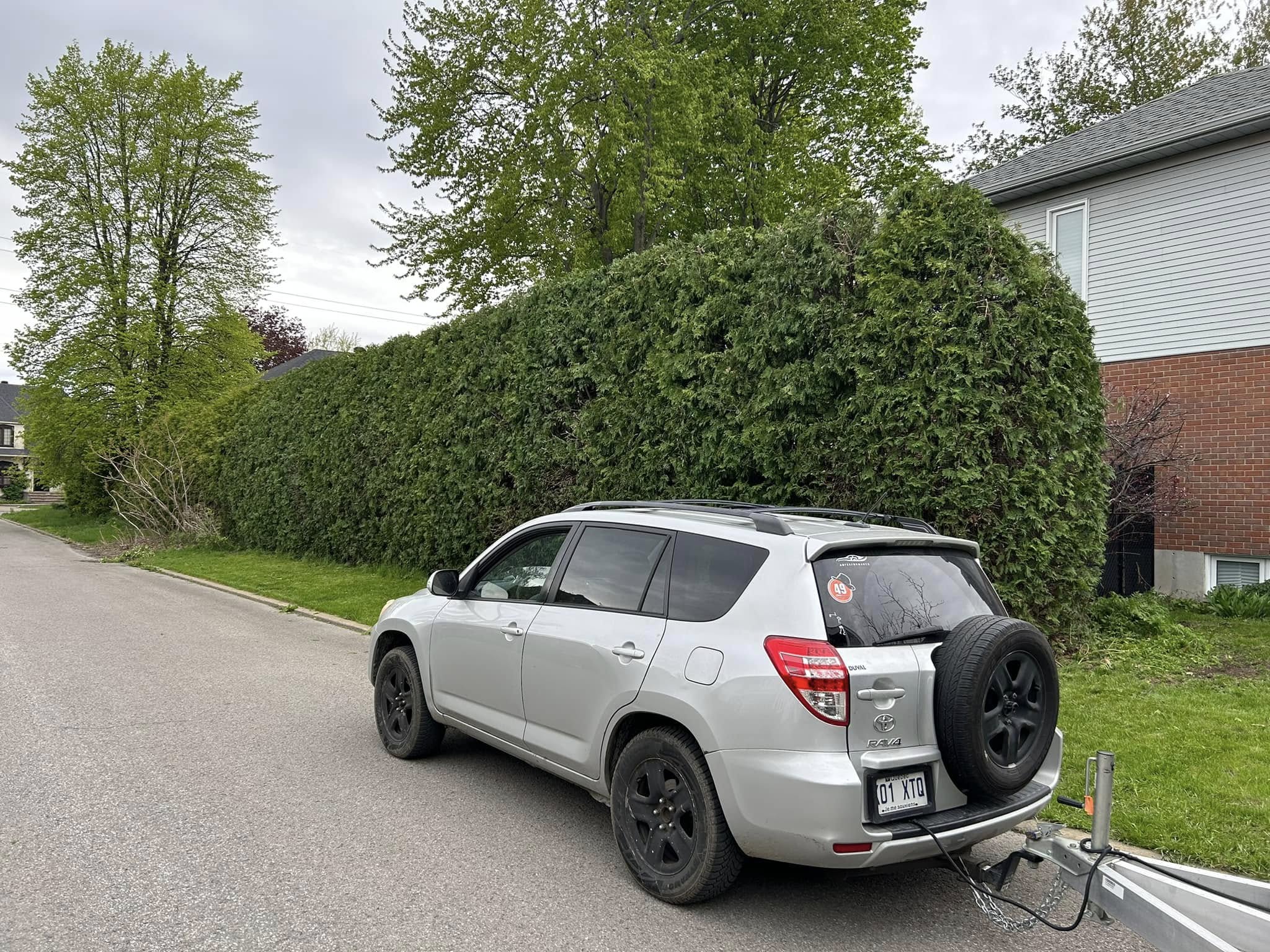 Images Taille de haie EB - Entretien de haie Saint-Hyacinthe