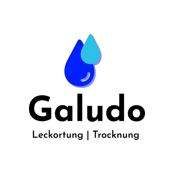 Galudo GmbH Logo