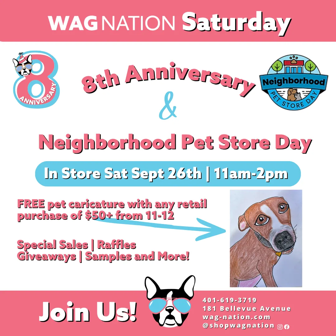Image of Local Pet Event 8th Anniversary Celebration Nearby
