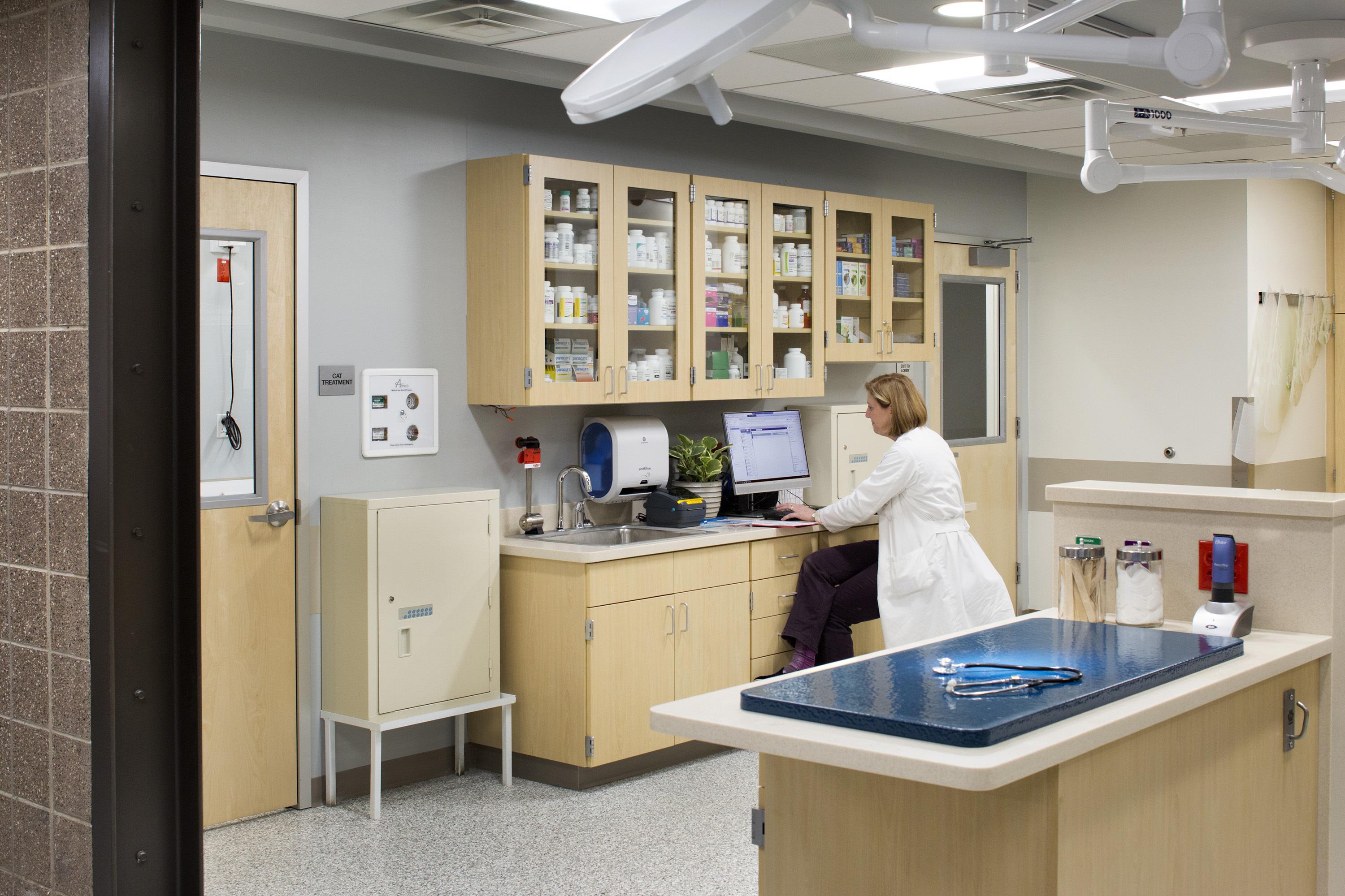 Image 18 | VCA Alameda East Veterinary Hospital