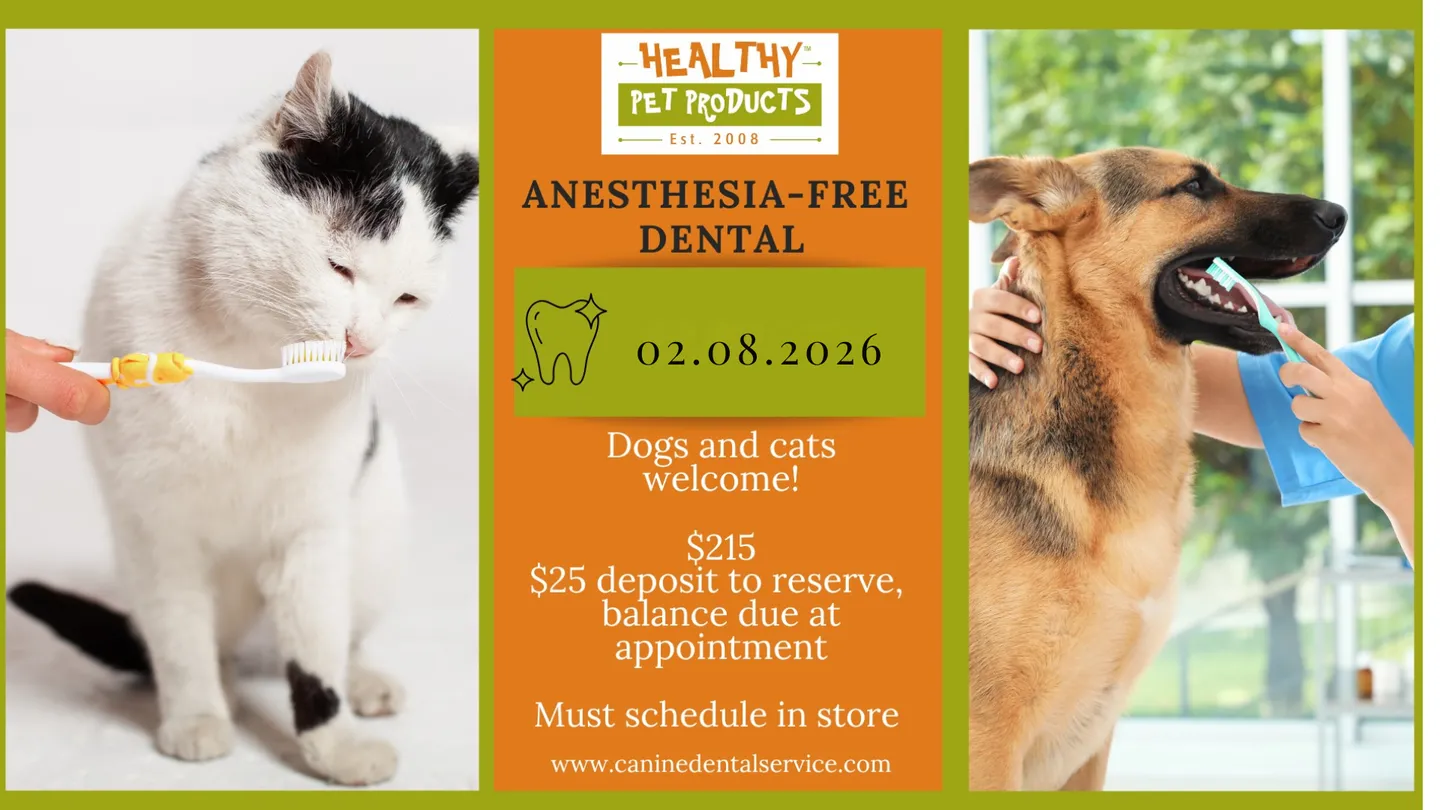 Image of Local Pet Event Anesthesia-Free Dental Clinic Nearby