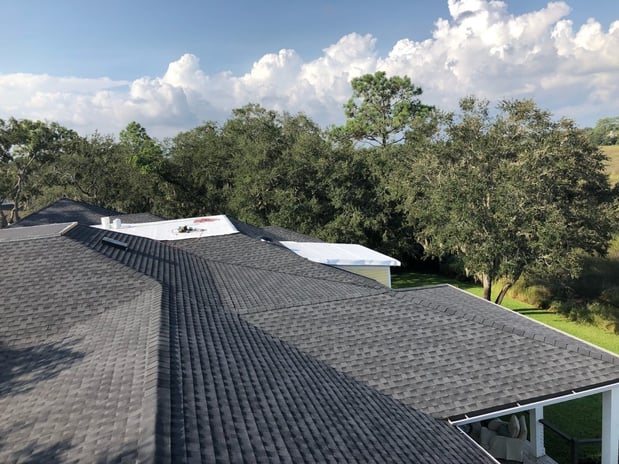Images Alpha Roofing Services
