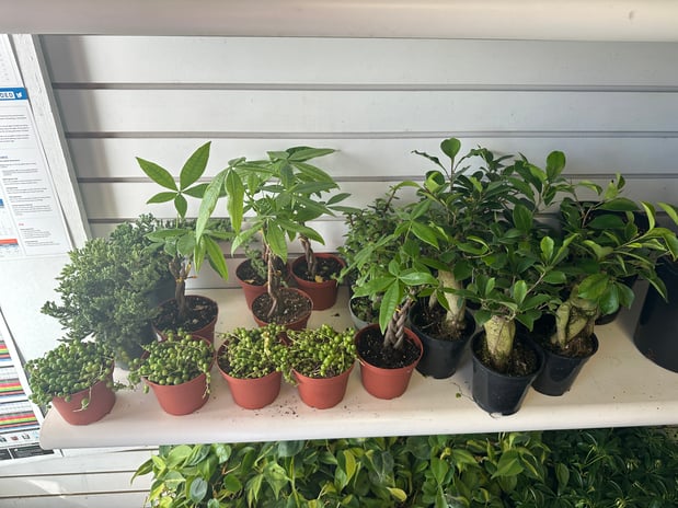 Images PJ's Plants and Nutrition - Garden Supply