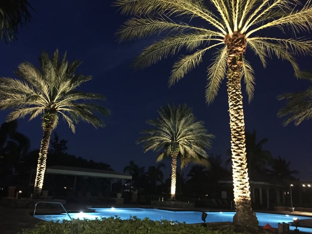 Images American Pool Florida