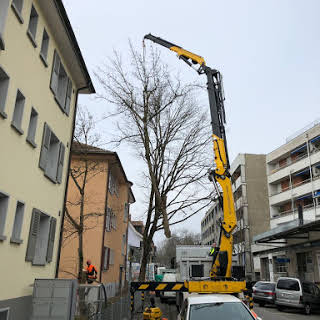 Bilder Tschan Gartenbau & Gartenunterhalt GmbH